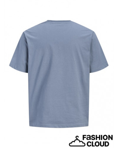 JJEARCHIVE GRAPHIC TEE SS O-NECK NOOS