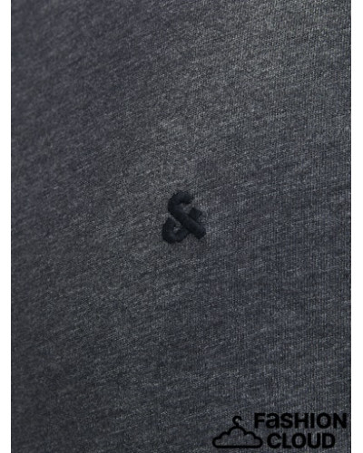 JJEPAULOS TEE SS CREW NECK NOOS