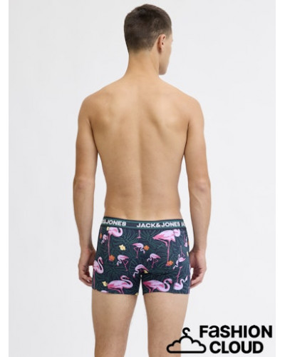 JACANDY FLAMINGO TRUNKS 3 PACK STYD