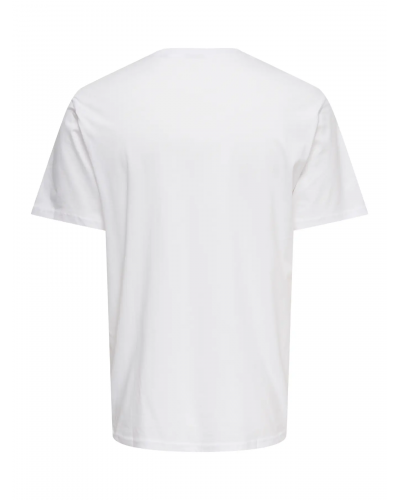 ONSMAGDY LIFE REG PHOTOPRINT SS TEE