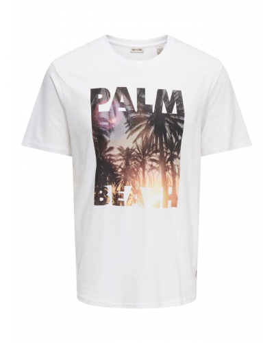 ONSMAGDY LIFE REG PHOTOPRINT SS TEE