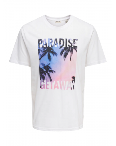 ONSMAGDY LIFE REG PHOTOPRINT SS TEE