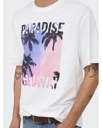 ONSMAGDY LIFE REG PHOTOPRINT SS TEE