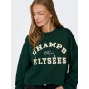 JDYMESA L/S O-NK EMB SWEAT JRS NOOS