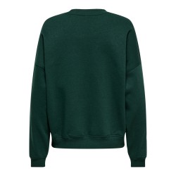 JDY MESA Sweatshirt mit Stickerei