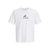 T-shirt JJSTIGNES in cotone biologico