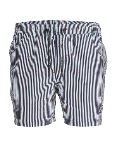 JPSTFIJI JJSWIM MINI STRIPE LY