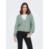 ONLCAROL NICE cardigan in maglia con scollo a V