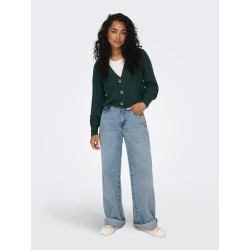 ONLCAROL NICE cardigan in maglia con scollo a V