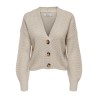 ONLCAROL NICE cardigan in maglia con scollo a V
