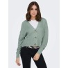 ONLCAROL NICE cardigan in maglia con scollo a V