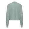 ONLCAROL NICE cardigan in maglia con scollo a V