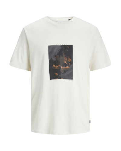 JPRBLADANTE SS GRAPHIC PRINTED TEE